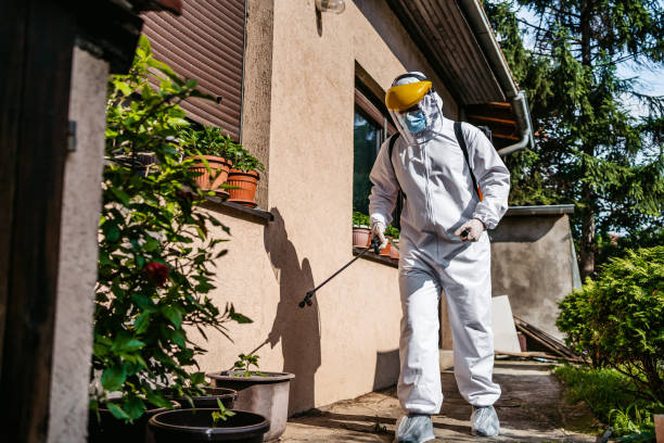Wildlife Control Services in Lone Tree, CO