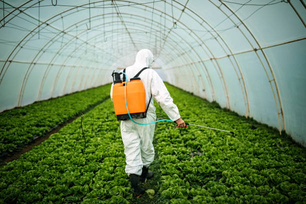 Best Pest Inspection Near Me  in Lone Tree, CO