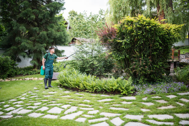 Best Mosquito Control Services  in Lone Tree, CO
