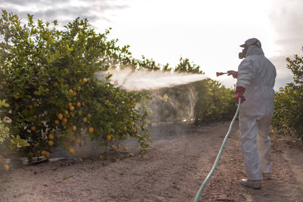 Pest Control Cost in Lone Tree, CO