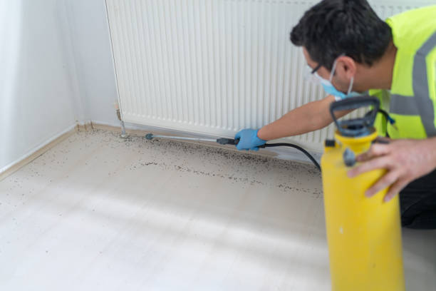 Best Pest Control Near Me  in Lone Tree, CO